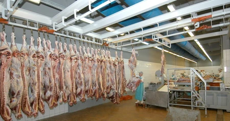 Дезинсекция на мясокомбинате в Серпухове, цены на услуги