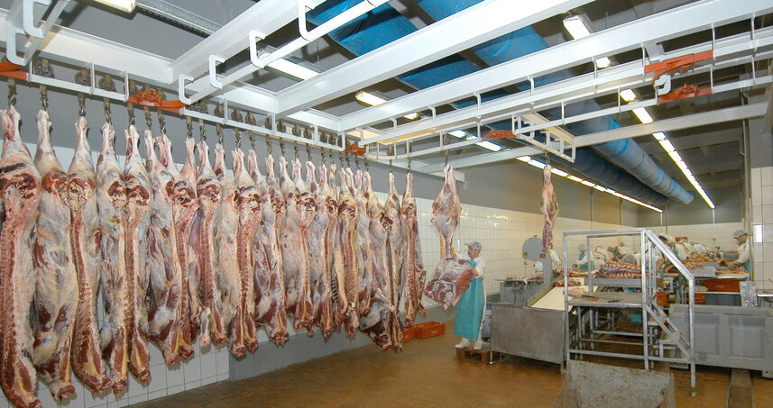 Дезинсекция на мясокомбинате в Серпухове, цены на услуги